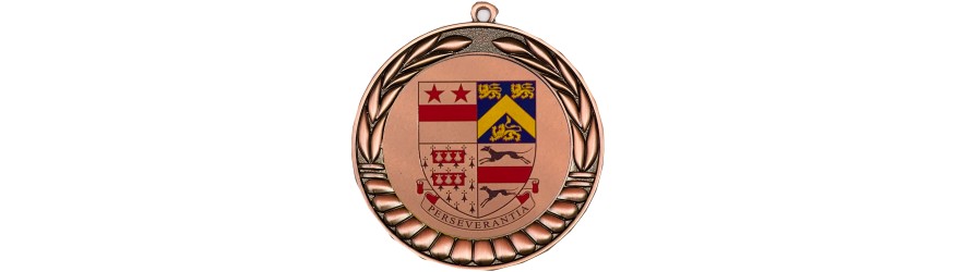70MM LEAF DESIGN CUSTOM MEDAL - GOLD, SILVER OR BRONZE 70MM LEAF DESIGN CUSTOM MEDAL - GOLD, SILVER OR BRONZE